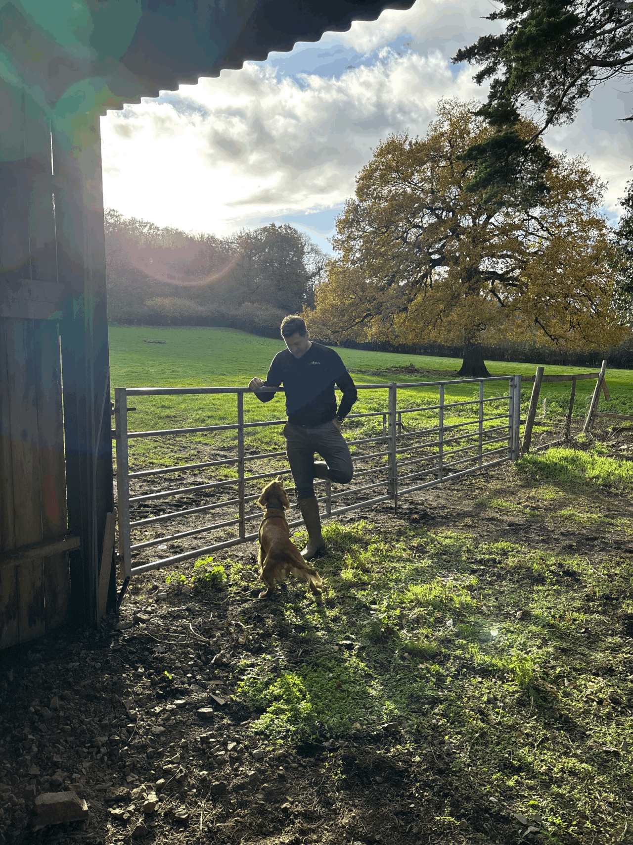 The Cow & Sow Kitchen Farm has opened in Bristol and appointed a Head Grower to provide fresh produce for all three restaurants
